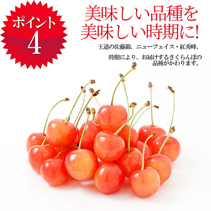 さくらんぼ佐藤錦7