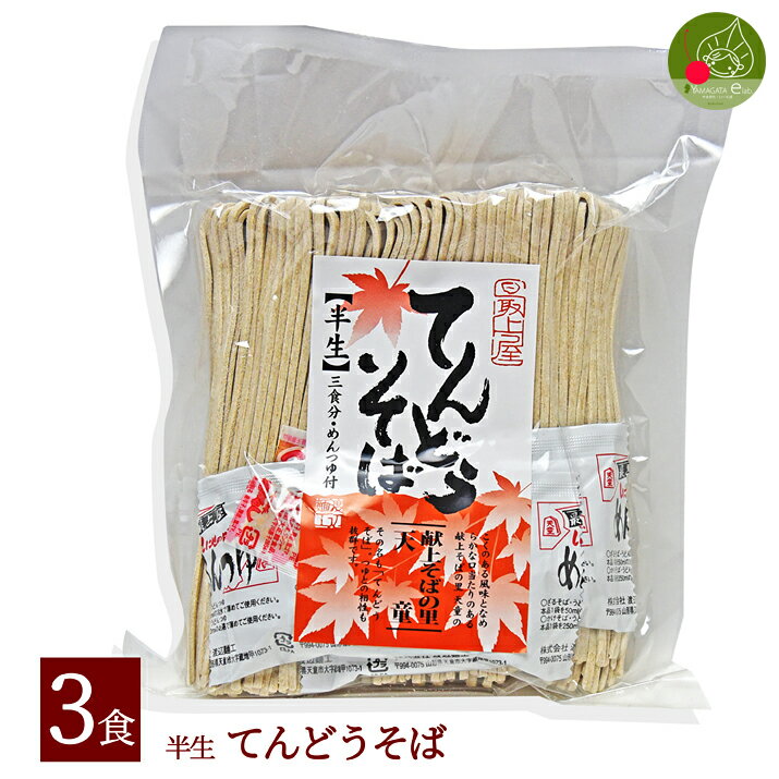 山形 半生そば 3食入半生そば たれ付き 山形県産 御歳...