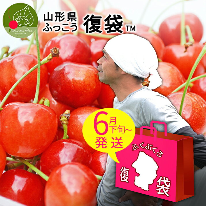 【6月下旬発送予定】 山形県ふっこう「復袋」 さくらんぼ 品種お任せ フルーツ 5,000円 秀品 Lサイズ 1kg(500g×2) 【送料込み】 福袋 山形県物産店 山形県支援 山形県応援 観光果樹園 復興福袋 かんばろう山形 東北 日本復興プロジェクト コロナ 対策のサムネイル