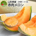【7月中旬頃より発送・先行予約】 山形県産 赤肉メロン お徳用 4.5kg以上 (3〜6玉入り) 訳あり 秀・優込み 産地直送 庄内産 甘い 美味しい 旨い 誕...
