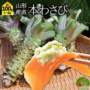 本わさび 1〜3本 約100g 無農薬 名水百選 山形県産 わさび専門ハウス直送 新鮮 採れたて 約4〜5人前分 冷蔵 業務用OK 寿司 刺身 和牛 和食 送料無料 まとめ買い 本格 和食 日本 wasabi父の日 母の日 お歳暮