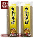 山形 カレーそば 乾麺 2袋 4食入 スープ付き インスタント麺 袋麺 ギフト 山形県産 鶏だし ピリッとスパイス 魅惑の味 醤油味 土産 お取り寄せ 送料無料...