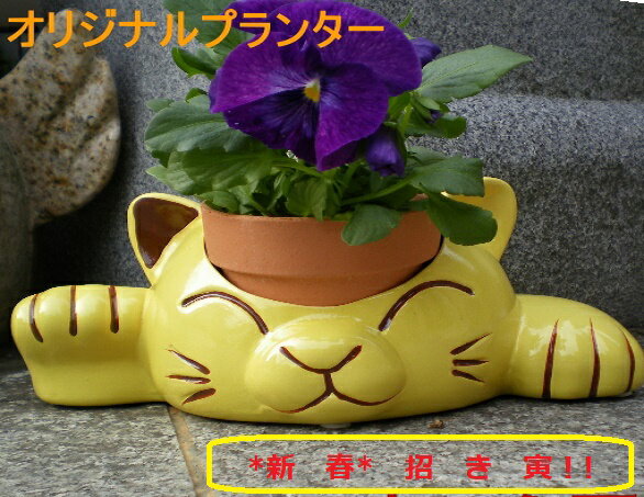 コーナー招き猫！プランター 陶磁器　動物プランター　プランター　アニマルプランター　植木鉢　テラコッタ　ガーデニング りょう石