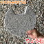 stepstoneの画像