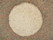 ֻߤŹ礦С־ʤ㤨ֱ­¿Сʥ١ˡƥåץȡСƧСССߤ 礦 100%СפβǤʤ6,655ߤˤʤޤ