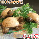 かわいい亀の置物 オブジェ ペーパーウェイト 手のひらサイズ 大理石 りょう石