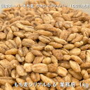 Orge もち麦シリアル6.6 業務用 1kg 高 β-グルカン 無添加 グラノーラ もち性大麦品種 ワキシーファイバー 100 使用 国産 大麦 もち麦 業務用 シリアル スーパーフード スーパー大麦