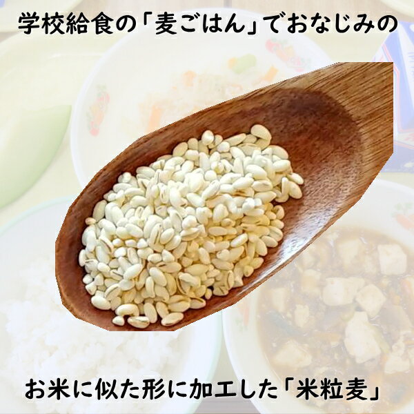 サンプル画像3