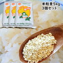 米粒麦 5kg 3個セット【 業務用 】 国内産 100% 学校給食 でもよく使われる 米 に似た形の食べやすい 麦ごはん です。 カレー にも良く合う 麦ご飯