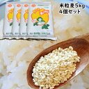 米粒麦 5kg 4個セット【 業務用 】 国内産 100% 麦ごはん 麦ご飯 【選べるおまけつき】 麦飯