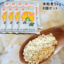 米粒麦 5kg 8個セット【 業務用 】 国内産 100% 学校給食 でもよく使われる 米 に似た形の食べやすい 麦ごはん です。 カレー にも良く合う 麦ご飯 麦ごはん 麦飯