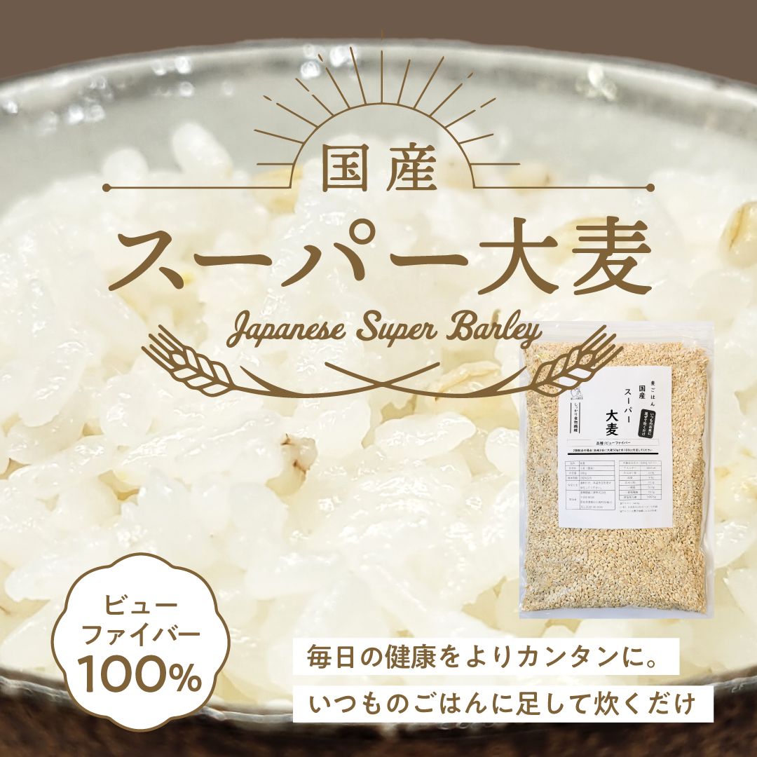 【 地域限定送料無料 】国産スーパー大麦 ビューファイバー 900g 愛知県産 高β-グルカン大麦品種 ビューファイバー 1…