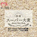 【単品】 国産スーパー大麦 ビューファイバー 900g 愛知県産 高β-グルカン大麦品種 ビューファイバー 100% β-グルカン値 12.3g/100g中 大...