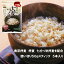雑穀風 大麦づくし250g（50g×5本入）単品 国産大麦100% 使い切りスティックタイプで簡単調理