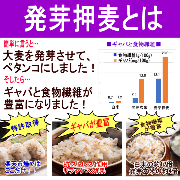 大麦づくし500g【単品】
