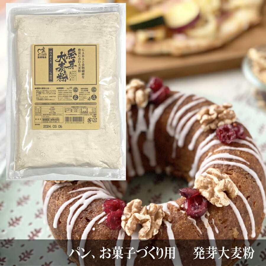 【 クロネコゆうパケット 送料無料 】 発芽大麦粉 500g チャック付 / 袋 国産モルトパウダー 香り豊かな 大麦粉 お菓子づくり パンづくり てんぷら粉 としても! 安心安全な 国産 小麦グルテンフリー