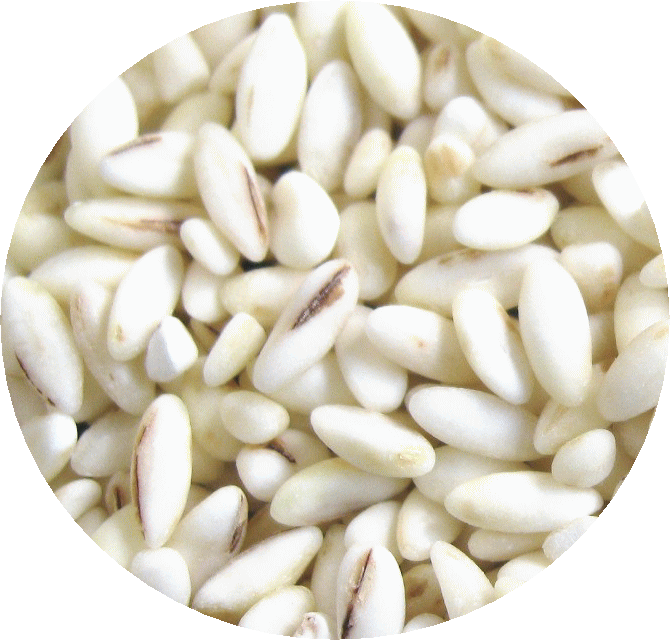 楽天市場 米粒麦 5kg 業務用 おひとり様2個まで 麦ごはん 国内産 100 麦ご飯 麦飯 選べるおまけつき 大麦一筋70年 三河の精麦屋さん