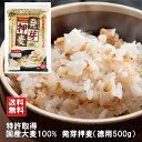 【 メール便送料無料 】 発芽押麦 500g （お得用タイプ） 国産 大麦 100% お試し 押し麦 麦ごはん 麦ご飯 麦 発芽 GABA ギャバ