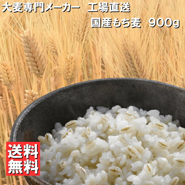 国産 もち麦 ホワイトファイバー 使用 900g 【 ネコポス 送料無料 】 国産もち麦 食物繊維 腸活 糖質制限 糖質オフ 麦ごはん 麦飯