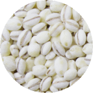 ����� 500g ñ�� ��������ľ�� ��������Ź�Τ���� �Ȥ��䤹������å����� �򤷤�500g���ꡪ���� �����Ϥ� ���� ���� ������ �����ѡ��ա���