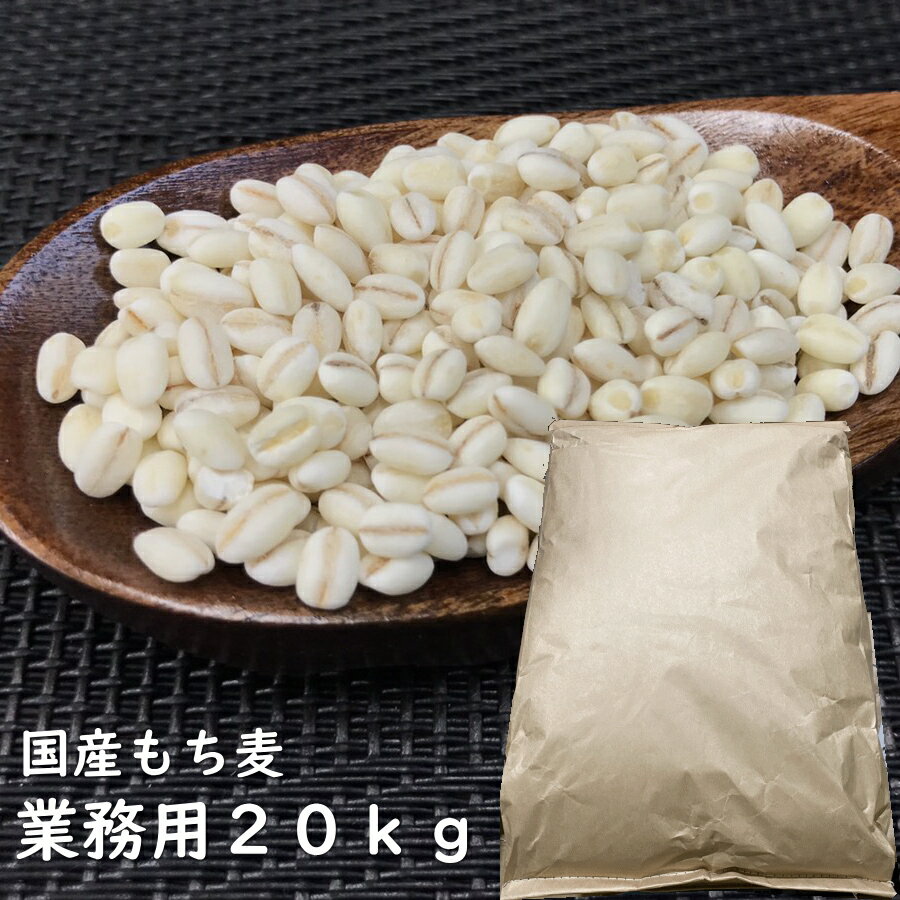 【 超業務用 】国産 もち麦 20kg クラフト大袋入品種おまかせ 【 宅配便 送料無料 】 国産もち麦 食物繊維 腸活 糖質オフ 糖質制限 雑穀 20キロ