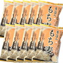 もち麦 800g × 10 大麦専門店の もち麦 800g 袋が10袋入り 合計たっぷり8キロ分！ 大麦 丸麦 麦ごはん 麦ご飯 もち麦 スーパーフード