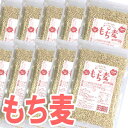 もち麦 500g×10袋入 ケース便利なチャック付きパッケージ！大麦 丸麦 もち麦 5kg 麦ごはん 麦ご飯 スーパーフード