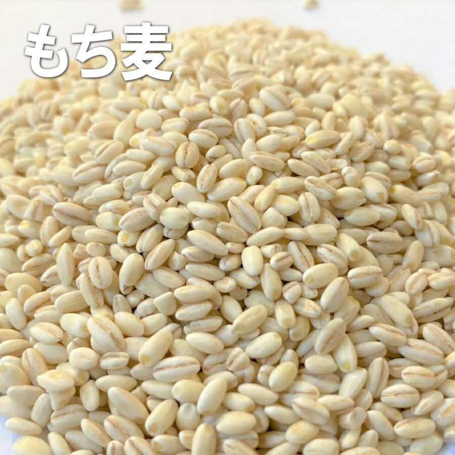 大麦 もち麦 800g 【単品】 大麦専門店のもち麦 麦ごはん 麦飯 アメリカ産 大麦 丸...