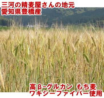 国産 もち麦粉 ワキシーファイバー 品種使用 愛知県産 高 β-グルカン 5kg 業務用紙袋【 送料無料 】 パン 麺 ラーメン 焼き菓子 に！ 大麦 もちむぎ 国内産 スーパーフード 麦ごはん 食物繊維 ダイエット 自然食