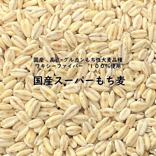 国産スーパーもち麦 ワキシーファイバー 100% もち麦 5kg 業務用 愛知県産 高β-グルカンもち性大麦品種 β-グルカン値 13.5g/100g中