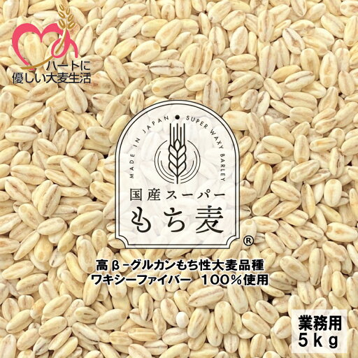 国産スーパーもち麦 ワキシーファイバー 100% もち麦 5kg 業務用 愛知県産 高β-グルカンもち性大麦品種 【 送料無料 】β-グルカン値 13.5g/100g中 国産スーパーもち麦 ワキシーファイバー 100% もち麦 5kg 業務用 愛知県産 高β-グルカンもち性大麦品種 【 送料無料 】β-グルカン値 13.5g/100g中