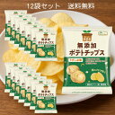 純国産ポテトチップス うすしお味 55g 12袋セット 無添加 国産じゃがいも 米油使用 オホーツクの塩 ノースカラーズ お菓子 スナック 安心安全