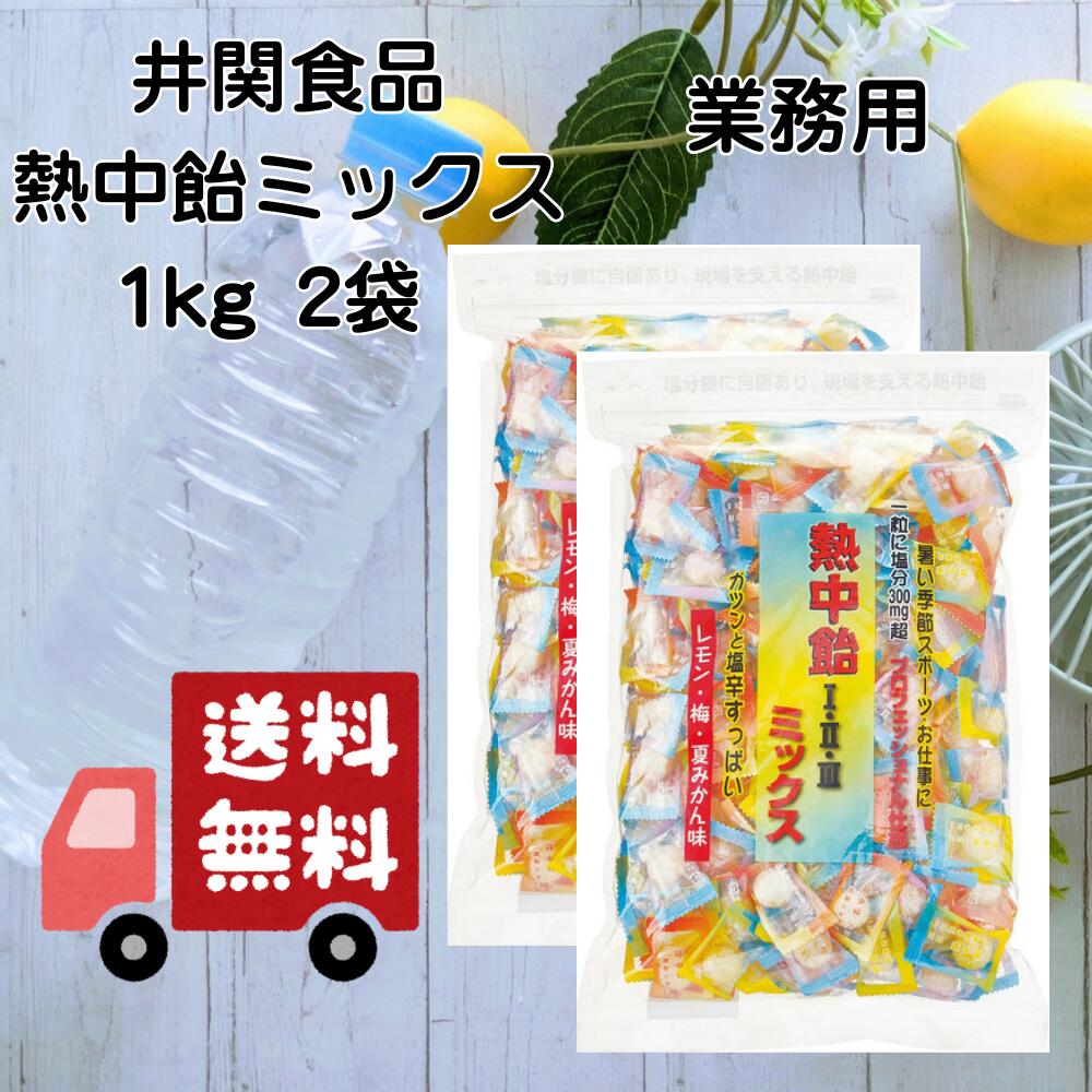 井関食品 熱中飴 3種ミックス2袋セット 業務用 1kg 熱中症対策 塩飴 レモン味 梅塩 夏みかん味 飴 個包装 塩分補給 夏対策 工場現場 スポーツ 屋外作業 持ち運び便利 人気 塩分チャージ