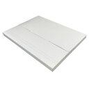 メール便専用ケース B5サイズ 200枚入【EMS-BOX-B5】(高31.2CM 幅22.8CM 厚2.5CM)コートボール約450g/平方米宅配袋 梱包 袋...