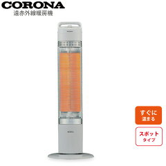 https://thumbnail.image.rakuten.co.jp/@0_mall/ryouhinhyakka/cabinet/02994409/ch-c99-h.jpg