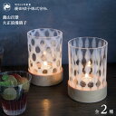 廣田硝子 義山百景 大正浪漫 GY-2 4977678440802【水玉/玉十草//全2種】【廣田ガラス 廣田がらす ガラス】