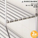 キッチン パイプ棚 SEパイプ棚 2段タイプ ステンレス (900mm) 池永鉄工 SE2-90 4906018351676【送料無料】