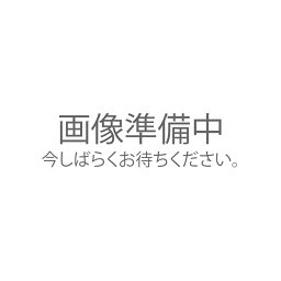 替え刃 池永鉄工 かき氷 スノーブロッサム用 替刃 4901068108157 カキ氷 かき氷器 カキゴオリ 部品 アクセサリ 買い替え 交換部品 刃