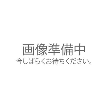 ★【15日はP最大46倍！要Wエントリー＆楽天カード！＆クーポン配布中！】【SPECまだ】【SS09】【IDまだ価格OK】ゼンケン 野菜スープメーカー スープリーズR ZSP-4 【送料無料】【09SS】