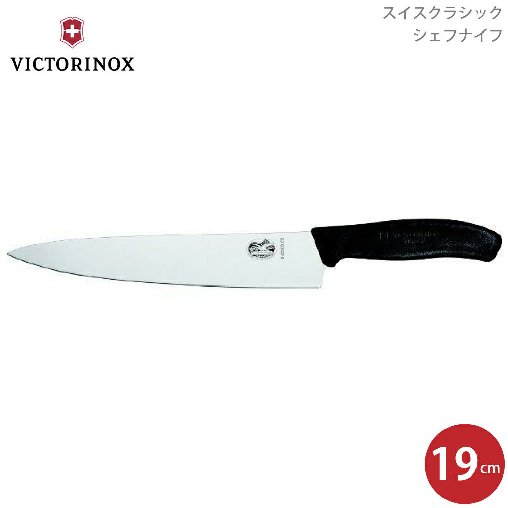 VICTORINOX rNgmbNX XCXNVbN VFtiCt19cm 6.8003.19E 7611160698087