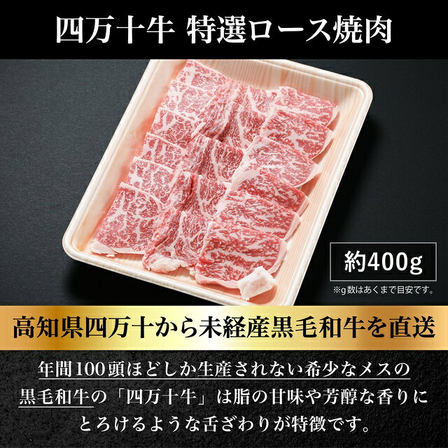 四万十牛 特選ロース焼肉400g【送料無料】 ryouhintaikoban-10000282 良品たいこばん サンプル画像2