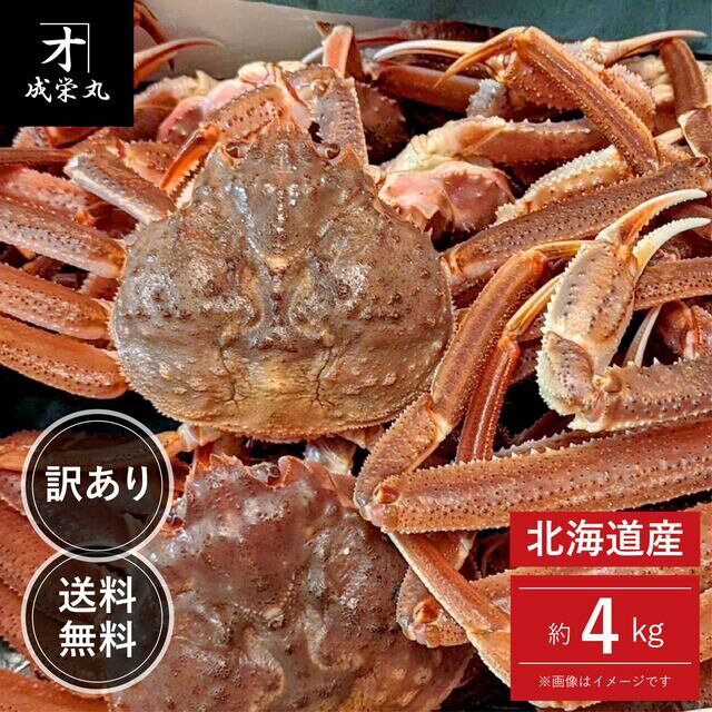 北海道産 訳あり生オオズワイガニ 約4kg 大サイズ (1杯あたり約300g〜) 送料無料
