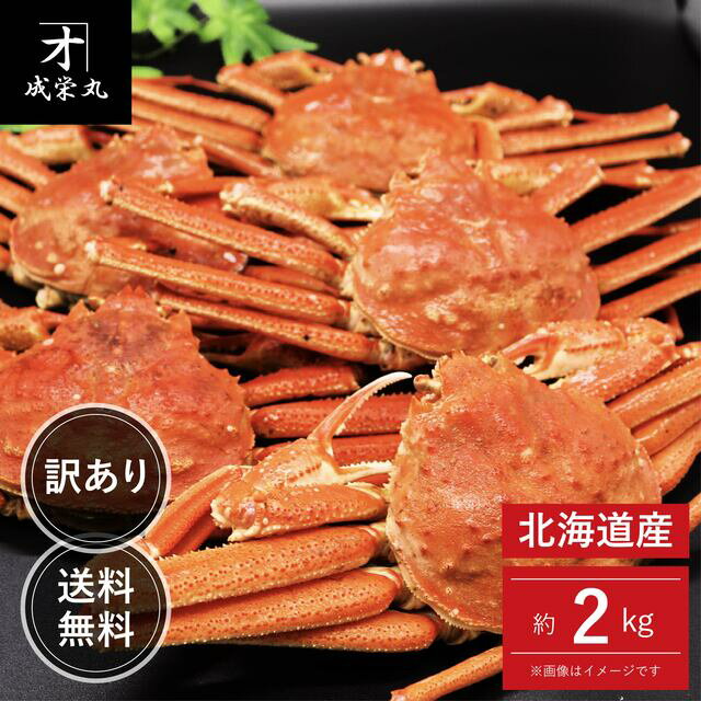 北海道産 訳あり蒸しオオズワイガニ 約2kg 大サイズ (1杯あたり約300g〜) 送料無料
