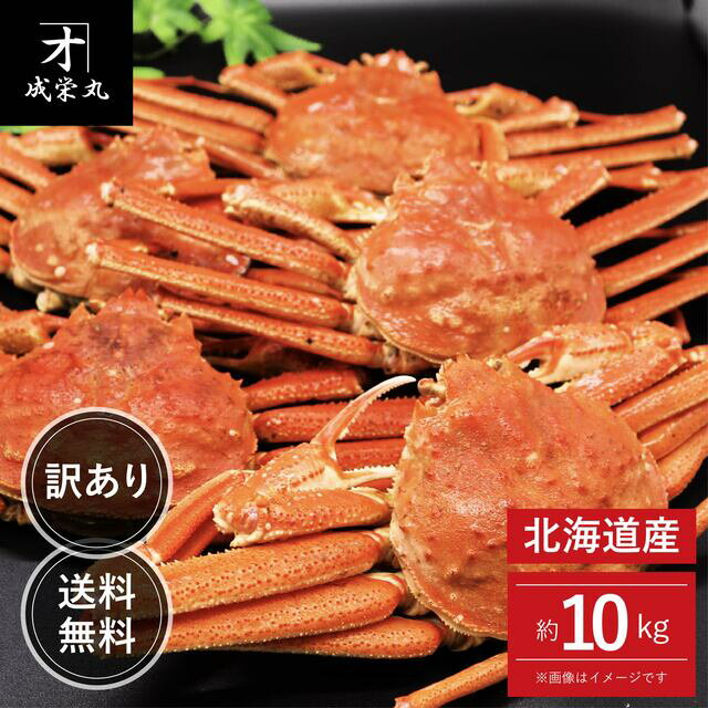 北海道産 訳あり蒸しオオズワイガニ 約10kg 大サイズ (1杯あたり約300g〜) 送料無料