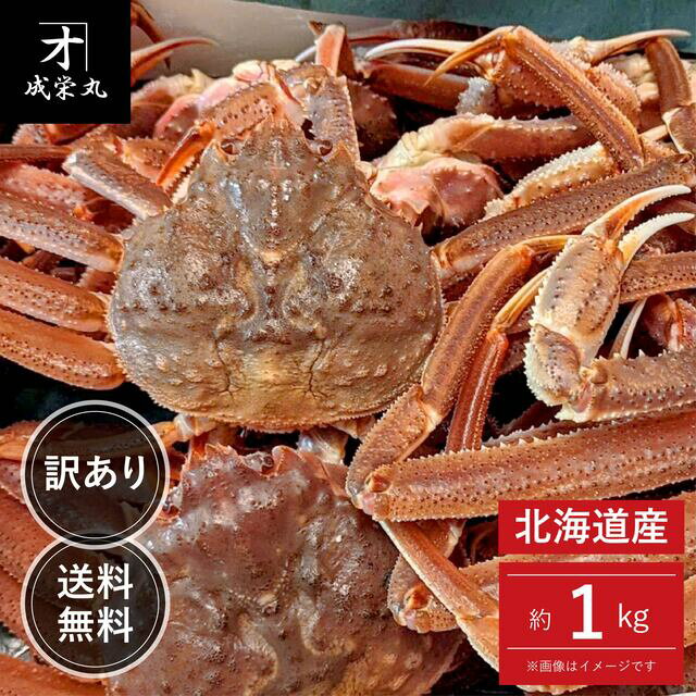 ̳ƻ 磻 1kg 祵 1դ300g ̵
