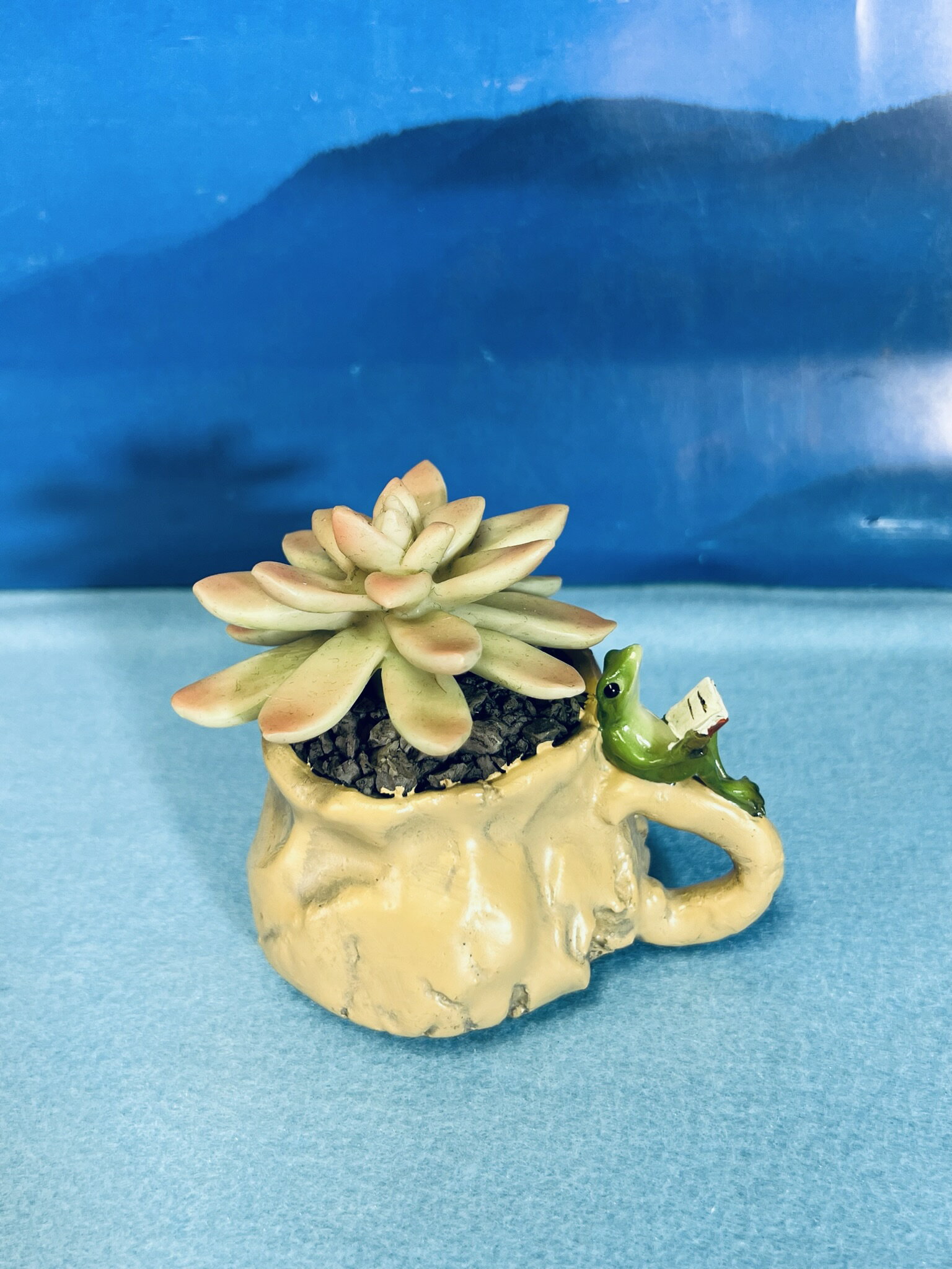 リアル【蛙 多肉植物シリーズ 本読み 】 盆栽にカエル 無事に帰る 縁起物 置物 装飾品 飾り インテリア..