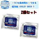 2個セット 保冷剤 ー7℃を長時間キープ 正規品 クーラーショック S キャンプ 行楽 アウトドア 停電 冷やす COOLER SHOCK メール便 送料無料 ...