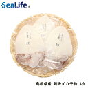 産地直送 島根県産 剣先イカ干物 約100g〜150g×3尾 日本海 海鮮 贈答品 贈り物 シーライフ