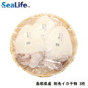 Yn Y CJ 100g`150g~3 {C CN i 蕨 V[Ct