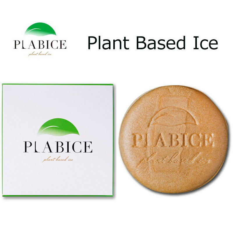 直送品 100％植物由来のプラントベースアイス PLABICE（プラバイス）4個セット クール便配送 氷菓 食物繊維 デザート 栄養 おすすめ